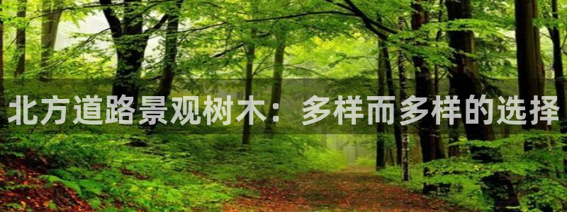新宝gg主管