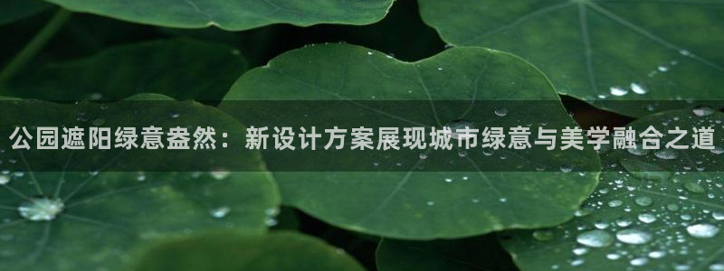 新宝gg 奇迹