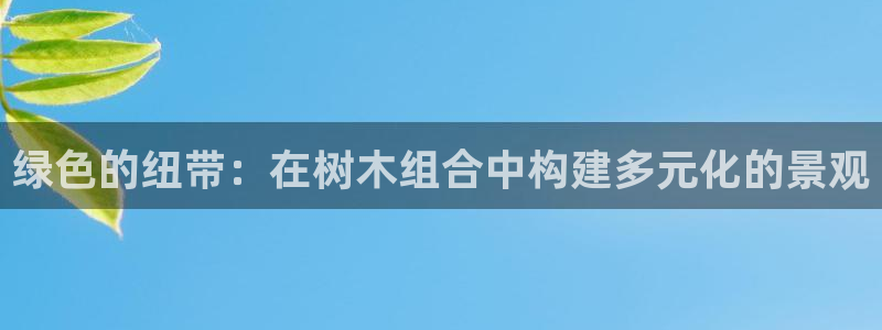 新宝gg怎么样