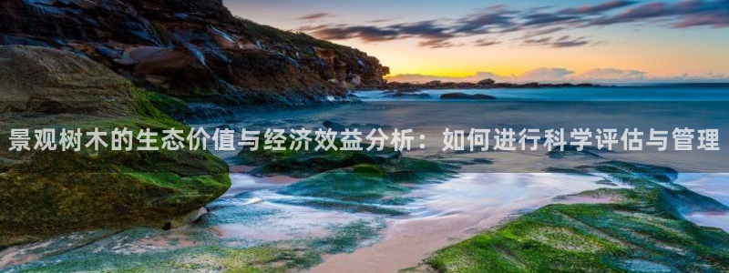 新宝GG网址新宝2：景观树木的生态价值与经济效益分析：如何进行科学评估与管理