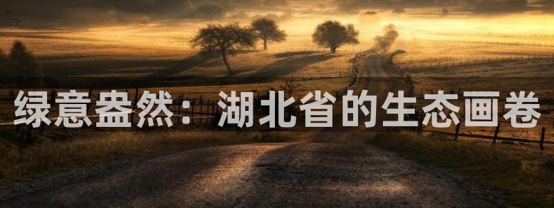 新宝gg 主管