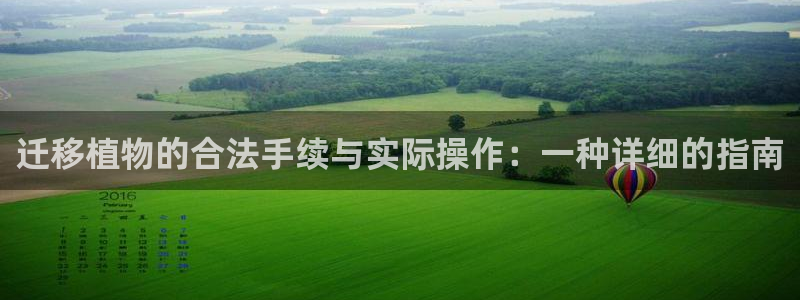 新宝gg挂机app