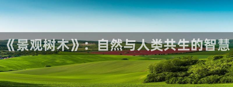 新宝gg账号：《景观树木》：自然与人类共生的智慧