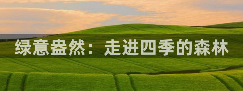 新宝gg如何做到总代理