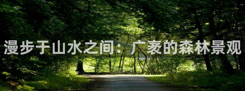 新宝gg地址新宝二