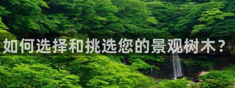 新宝gg手机助手