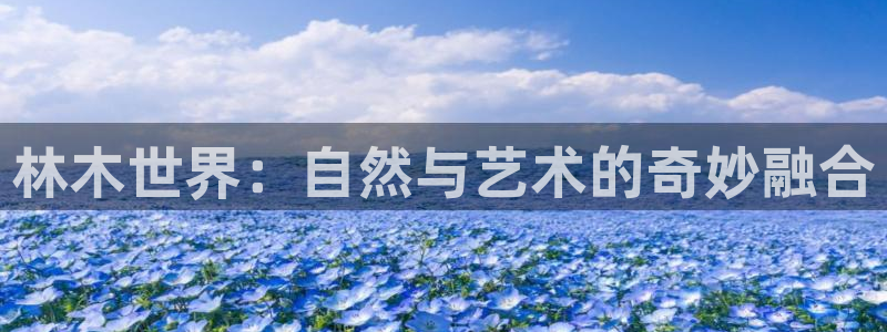 新宝gg怎样代理