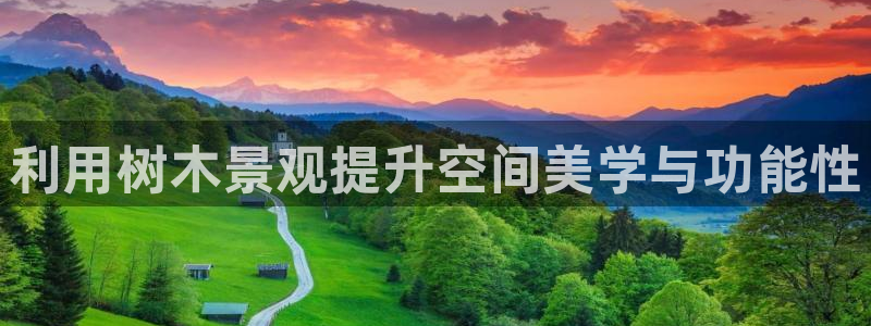 新宝GG之家：利用树木景观提升空间美学与功能性