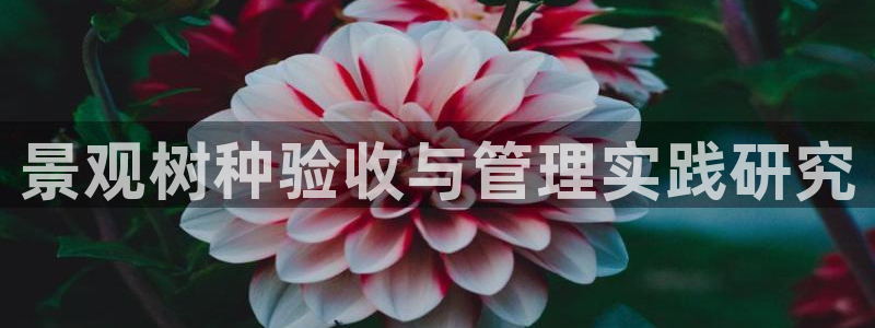 收新宝gg：景观树种验收与管理实践研究