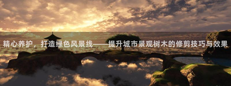 新宝gg返点1956是多少