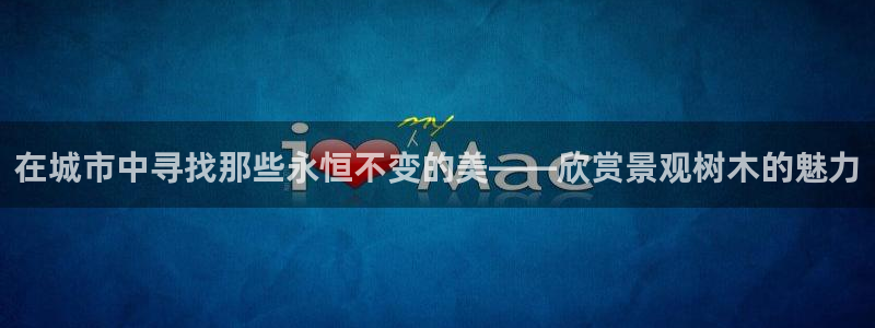 新宝gg龙虎规则