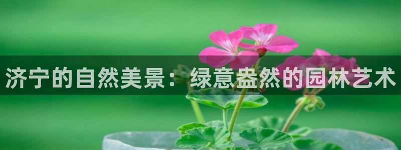 新宝gg创造奇迹下载