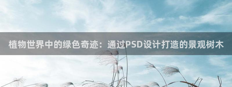 新宝gg开户流程