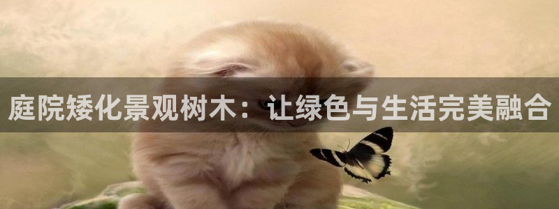 新宝gg返点1956是多少