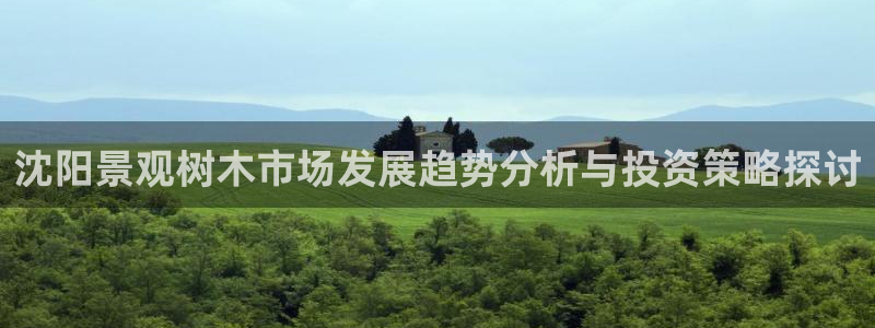 新宝gg-创业奇迹