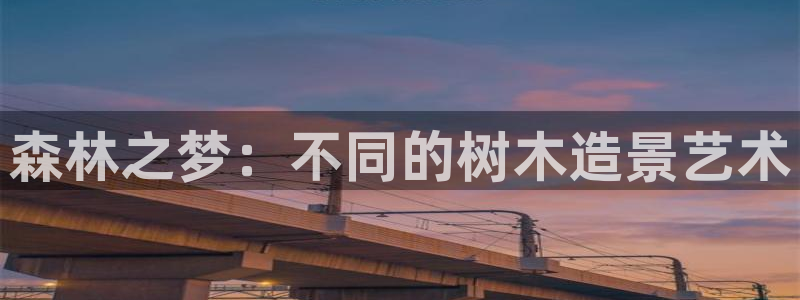 新宝gg和新宝123