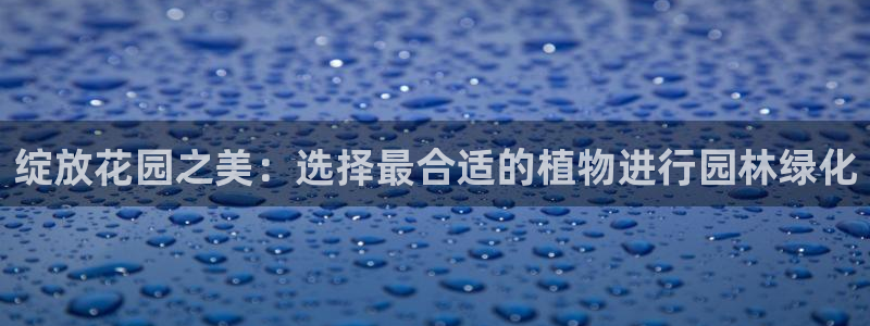 新宝gg返点1956是多少