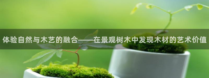 新宝gg怎么做代理