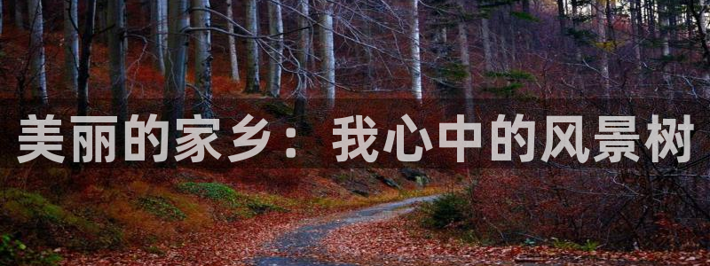 广东新宝电器gg