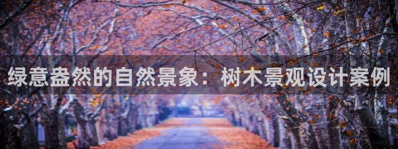 新宝gg手机助手