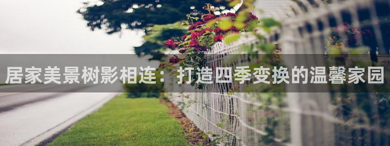 新宝gg测速登录：居家美景树影相连：打造四季变换的温馨家园