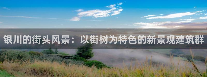 新宝gg登陆平台：银川的街头风景：以街树为特色的新景观建筑群