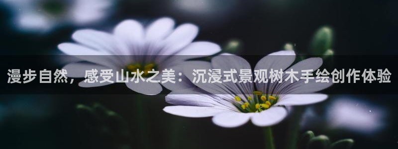 新宝gg 黑：漫步自然，感受山水之美：沉浸式景观树木手绘创作体验