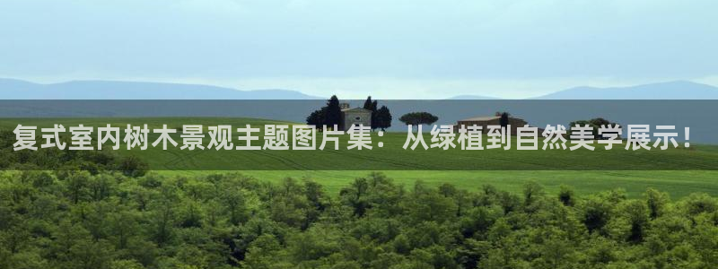 网站新宝GG：复式室内树木景观主题图片集：从绿植到自然美学展示！
