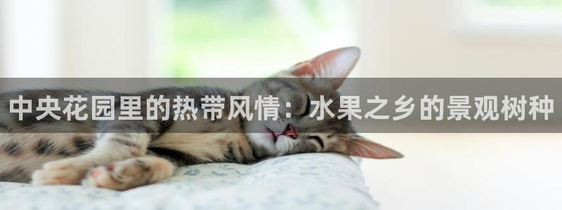 新宝gg奖金：中央花园里的热带风情：水果之乡的景观树种