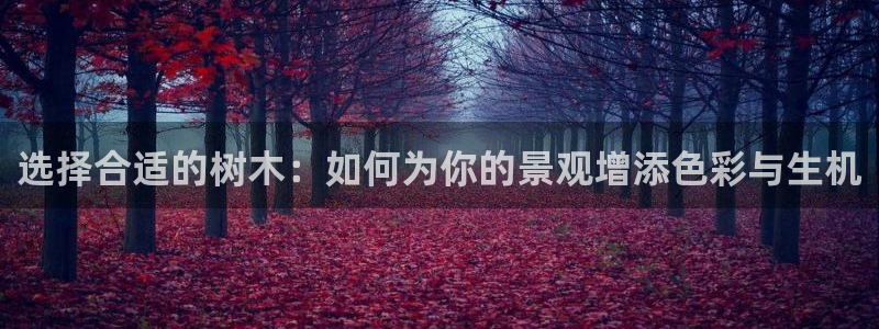 新宝gg娱乐首页