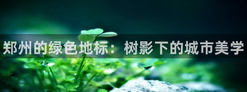 新宝GG娱乐下载：郑州的绿色地标：树影下的城市美学