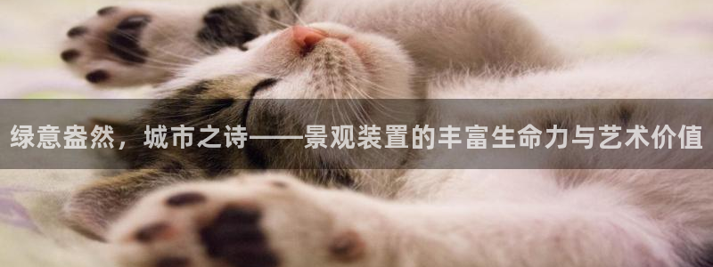 广东新宝电器gg