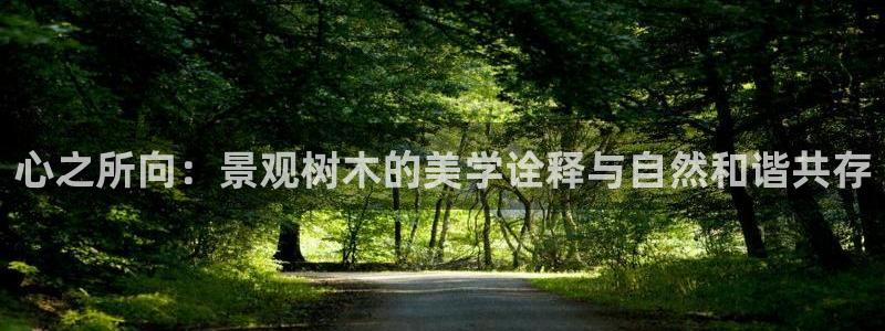 新宝gg用哪个浏览器：心之所向：景观树木的美学诠释与自然和谐共存