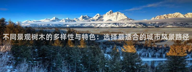 下载新宝gg怎么下载