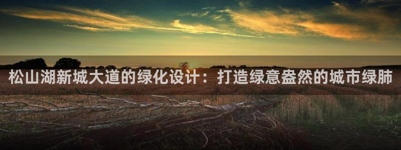 新宝gg最新章节