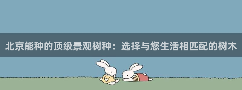 新宝六与新宝gg