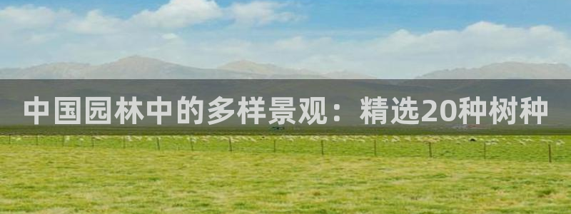 新宝gg找回账号