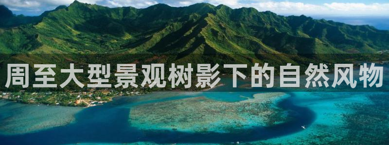 新宝gg开奖结果