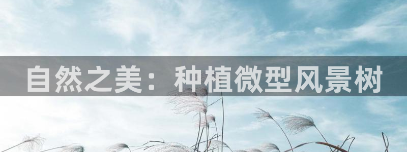 新宝gg官方下载