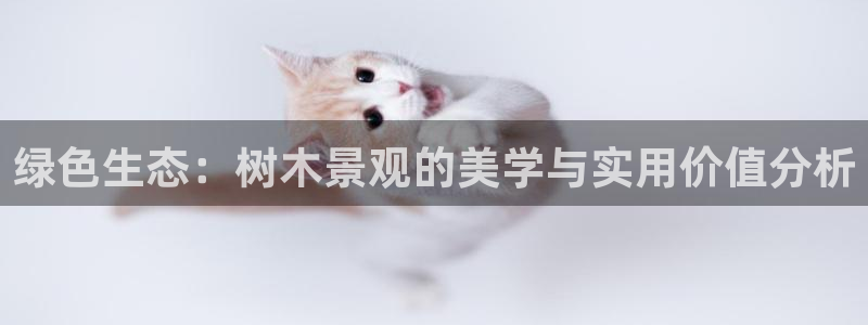 新宝gg平台怎么样