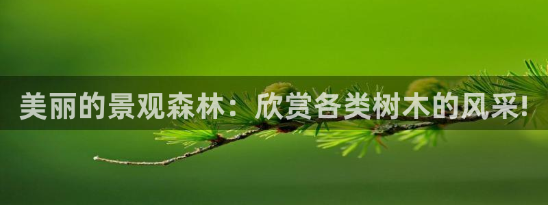 新宝gg首页平台