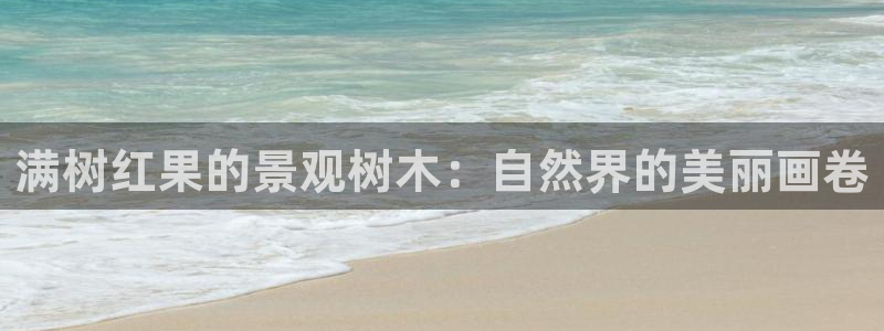 新宝gg开奖结果