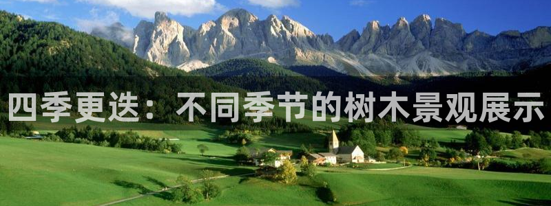 新宝gg下载:四季更迭:不同季节的树木景观展示