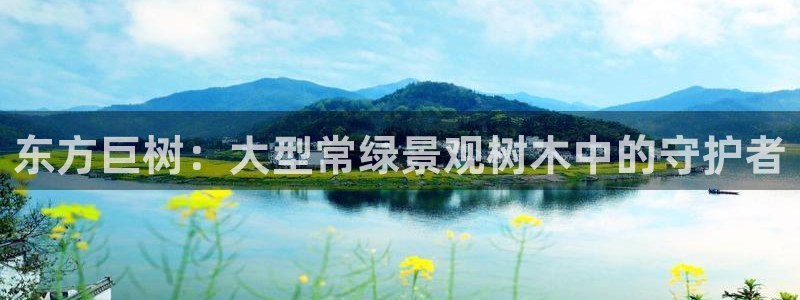 新宝gg客户端下载:东方巨树:大型常绿景观树木中的守护者