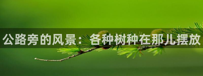 新宝gg娱乐平台