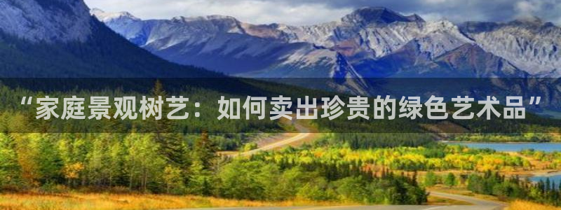 广东新宝电器gg