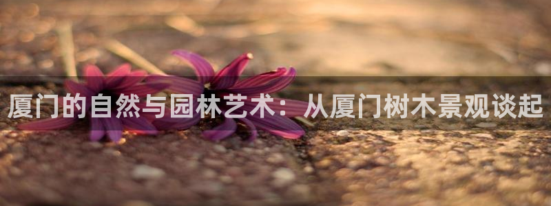 新宝GG无法充值