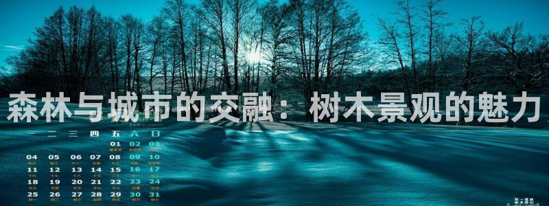 新宝gg平台开发