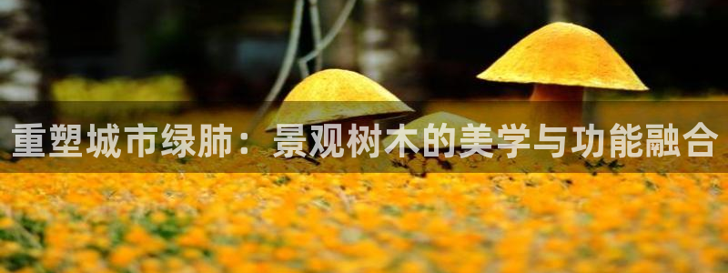 新宝GG网页