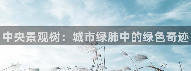 新宝gg样